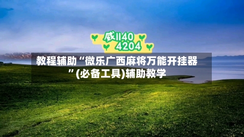 教程辅助“微乐广西麻将万能开挂器”(必备工具)辅助教学-第2张图片