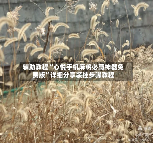 辅助教程“心悦手机麻将必赢神器免费版”详细分享装挂步骤教程-第1张图片