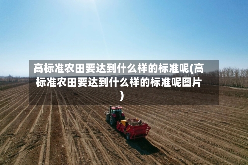高标准农田要达到什么样的标准呢(高标准农田要达到什么样的标准呢图片)-第1张图片