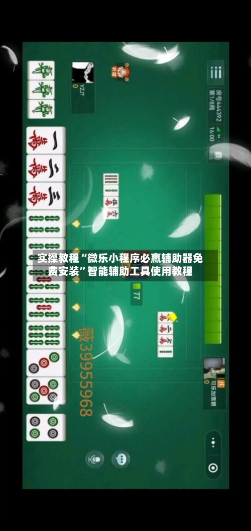 实操教程“微乐小程序必赢辅助器免费安装”智能辅助工具使用教程-第2张图片