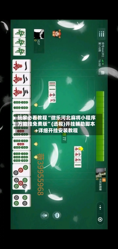 玩家必看教程“微乐河北麻将小程序万能挂免费版	”(透视)开挂辅助脚本+详细开挂安装教程-第2张图片