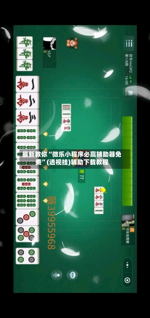 最新教你“微乐小程序必赢辅助器免费”(透视挂)辅助下载教程-第2张图片