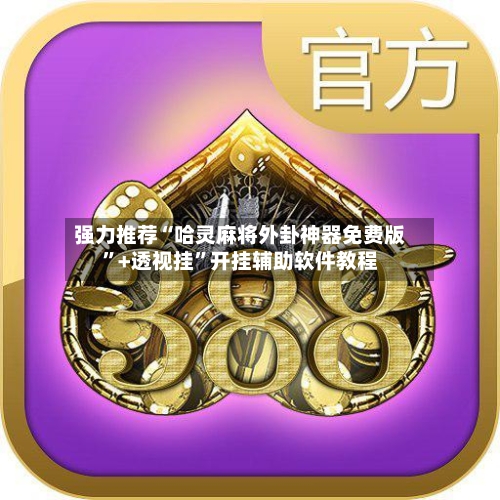 强力推荐“哈灵麻将外卦神器免费版”+透视挂”开挂辅助软件教程-第2张图片