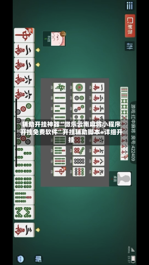辅助开挂神器“微乐云南麻将小程序开挂免费软件	”开挂辅助脚本+详细开挂-第1张图片