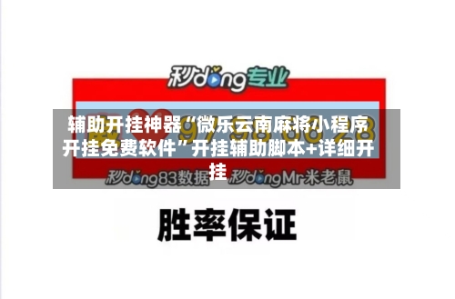 辅助开挂神器“微乐云南麻将小程序开挂免费软件”开挂辅助脚本+详细开挂-第2张图片