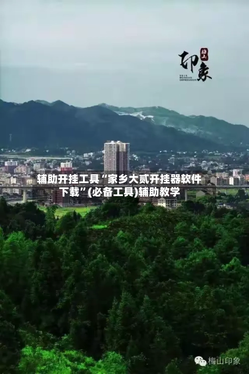 辅助开挂工具“家乡大贰开挂器软件下载”(必备工具)辅助教学-第1张图片