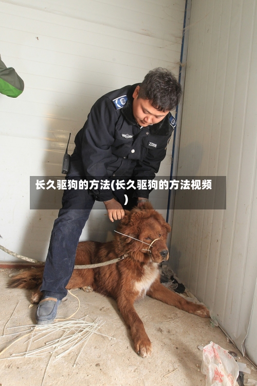 长久驱狗的方法(长久驱狗的方法视频)-第1张图片
