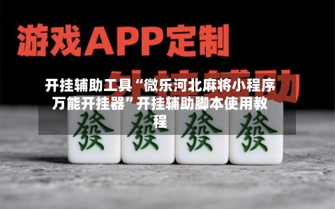 开挂辅助工具“微乐河北麻将小程序万能开挂器”开挂辅助脚本使用教程-第3张图片