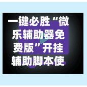一键必胜“微乐辅助器免费版	”开挂辅助脚本使用教程-第1张图片