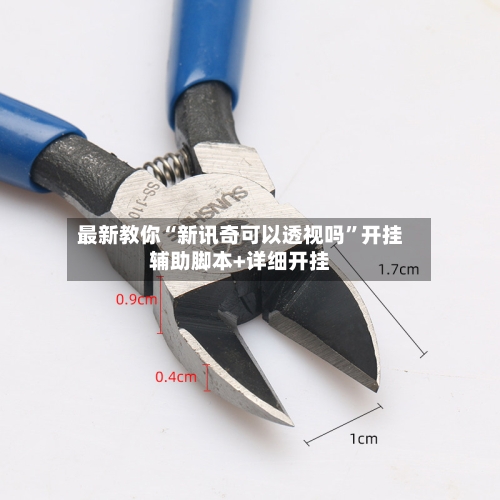 最新教你“新讯奇可以透视吗”开挂辅助脚本+详细开挂-第2张图片