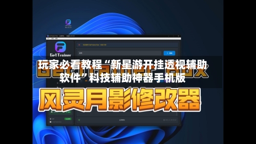 玩家必看教程“新星游开挂透视辅助软件”科技辅助神器手机版-第3张图片