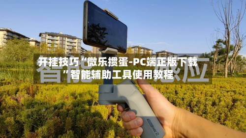 开挂技巧“微乐掼蛋-PC端正版下载”智能辅助工具使用教程-第3张图片