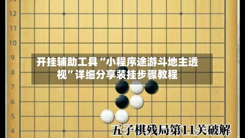 开挂辅助工具“小程序途游斗地主透视”详细分享装挂步骤教程-第2张图片