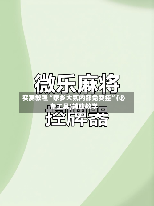 实测教程“家乡大贰内部免费挂”(必备工具)辅助教学-第1张图片