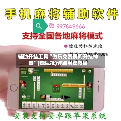 辅助开挂工具“微乐免费房间开挂神器”(透视挂)详细用法教程-第3张图片