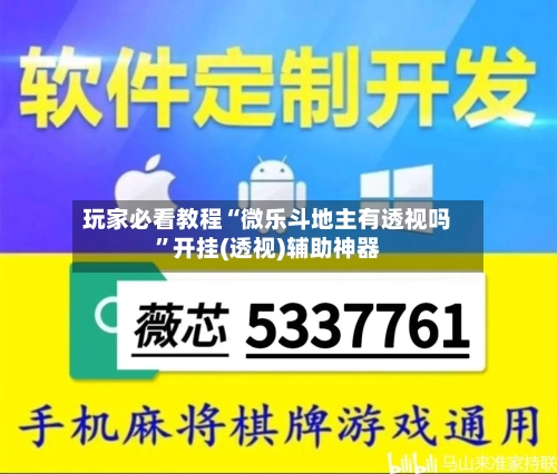 玩家必看教程“微乐斗地主有透视吗”开挂(透视)辅助神器-第3张图片