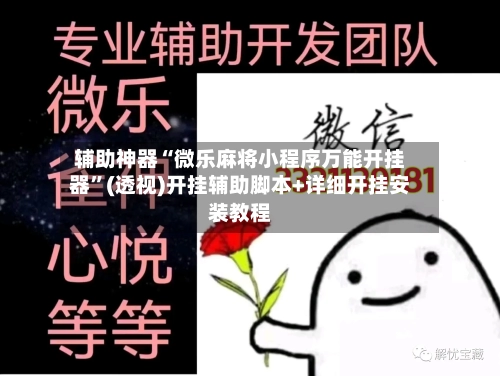 辅助神器“微乐麻将小程序万能开挂器”(透视)开挂辅助脚本+详细开挂安装教程-第2张图片
