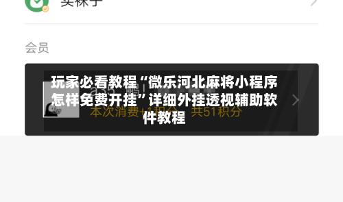 玩家必看教程“微乐河北麻将小程序怎样免费开挂”详细外挂透视辅助软件教程-第1张图片