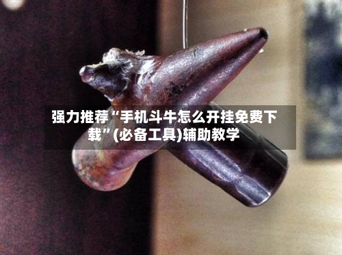 强力推荐“手机斗牛怎么开挂免费下载”(必备工具)辅助教学-第1张图片