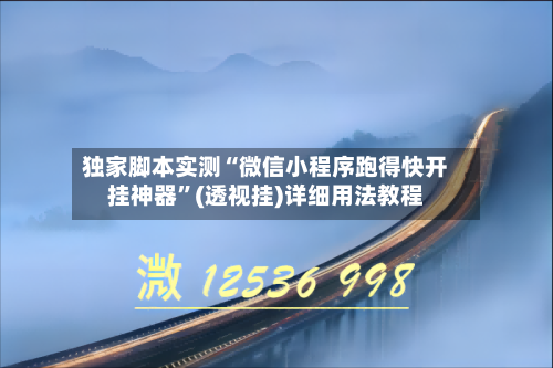 独家脚本实测“微信小程序跑得快开挂神器”(透视挂)详细用法教程-第1张图片