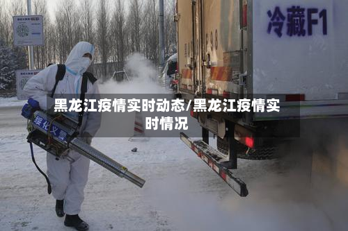黑龙江疫情实时动态/黑龙江疫情实时情况-第1张图片