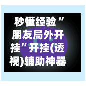 秒懂经验“朋友局外开挂”开挂(透视)辅助神器-第3张图片