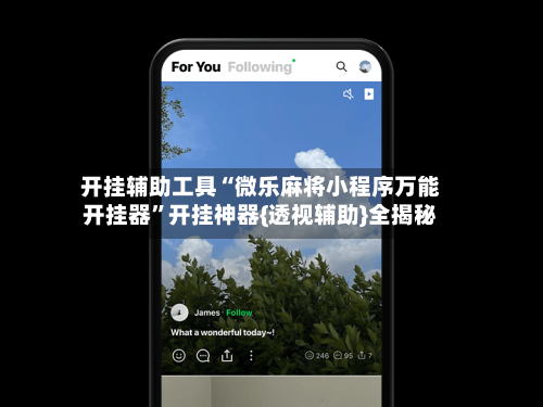 开挂辅助工具“微乐麻将小程序万能开挂器”开挂神器{透视辅助}全揭秘-第3张图片