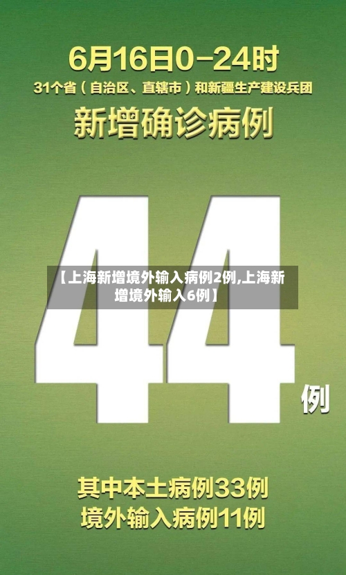 【上海新增境外输入病例2例,上海新增境外输入6例】-第3张图片