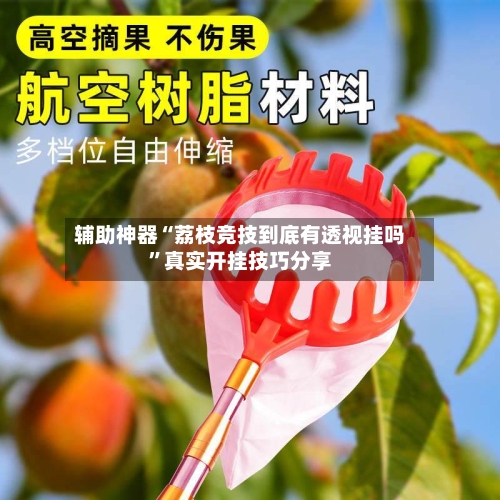 辅助神器“荔枝竞技到底有透视挂吗”真实开挂技巧分享-第2张图片
