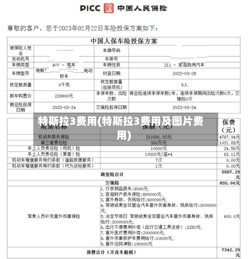 特斯拉3费用(特斯拉3费用及图片费用)-第1张图片