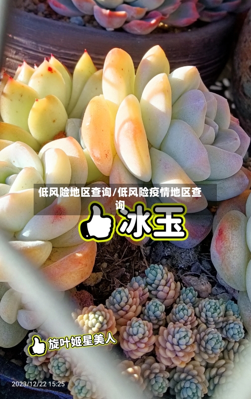 低风险地区查询/低风险疫情地区查询-第1张图片