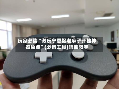 玩家必读“微乐宁夏捉老麻子开挂神器免费”(必备工具)辅助教学-第2张图片