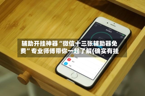 辅助开挂神器“微信十三张辅助器免费”专业师傅带你一起了解(确实有挂-第3张图片