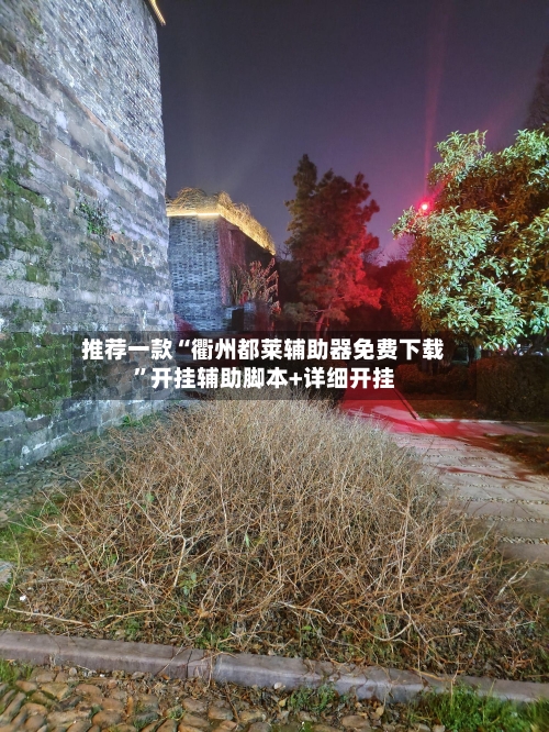 推荐一款“衢州都莱辅助器免费下载	”开挂辅助脚本+详细开挂-第2张图片