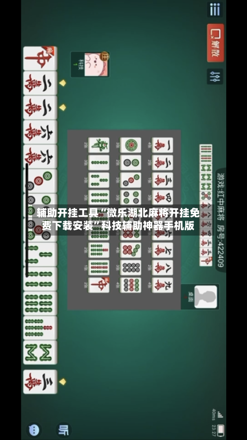 辅助开挂工具“微乐湖北麻将开挂免费下载安装”科技辅助神器手机版-第2张图片