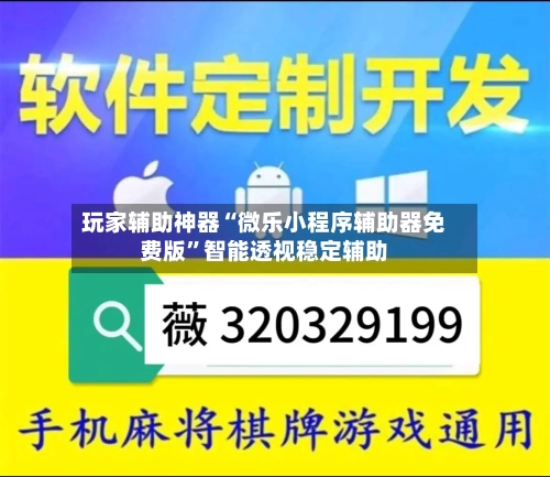 玩家辅助神器“微乐小程序辅助器免费版”智能透视稳定辅助-第2张图片