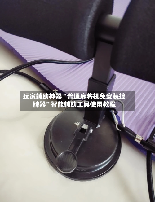 玩家辅助神器“普通麻将机免安装控牌器”智能辅助工具使用教程-第1张图片