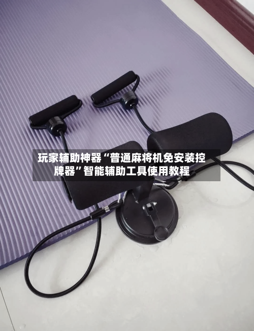 玩家辅助神器“普通麻将机免安装控牌器”智能辅助工具使用教程-第3张图片