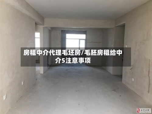 房租中介代理毛坯房/毛胚房租给中介5注意事项-第2张图片