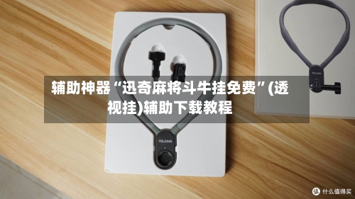 辅助神器“迅奇麻将斗牛挂免费”(透视挂)辅助下载教程-第2张图片