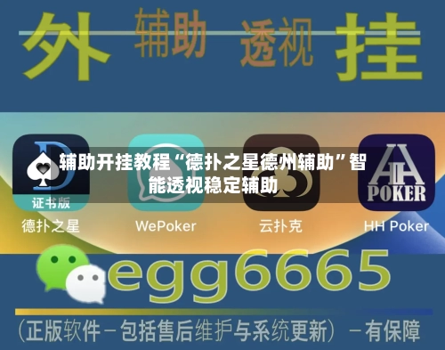 辅助开挂教程“德扑之星德州辅助”智能透视稳定辅助-第2张图片
