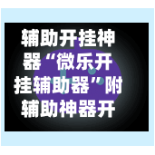 辅助开挂神器“微乐开挂辅助器”附辅助神器开挂脚本详细步骤-第1张图片