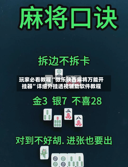 玩家必看教程“微乐陕西麻将万能开挂器”详细外挂透视辅助软件教程-第2张图片