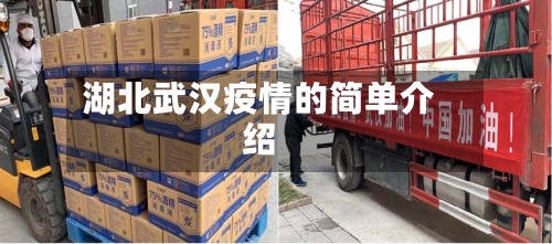 湖北武汉疫情的简单介绍-第1张图片