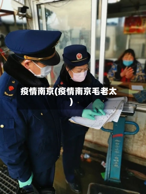 疫情南京(疫情南京毛老太)-第2张图片