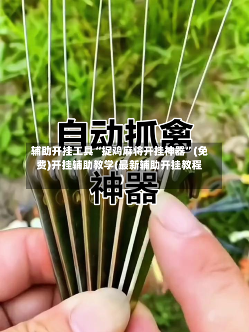 辅助开挂工具“捉鸡麻将开挂神器”(免费)开挂辅助教学(最新辅助开挂教程)-第3张图片