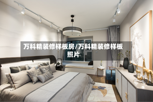 万科精装修样板房/万科精装修样板照片-第1张图片
