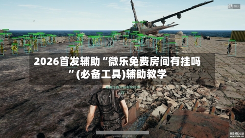 2026首发辅助“微乐免费房间有挂吗”(必备工具)辅助教学-第1张图片
