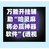 万能开挂辅助“哈灵麻将必赢神器软件”(透视挂)辅助下载教程-第1张图片