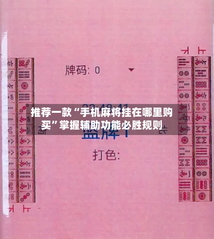 推荐一款“手机麻将挂在哪里购买”掌握辅助功能必胜规则-第2张图片
